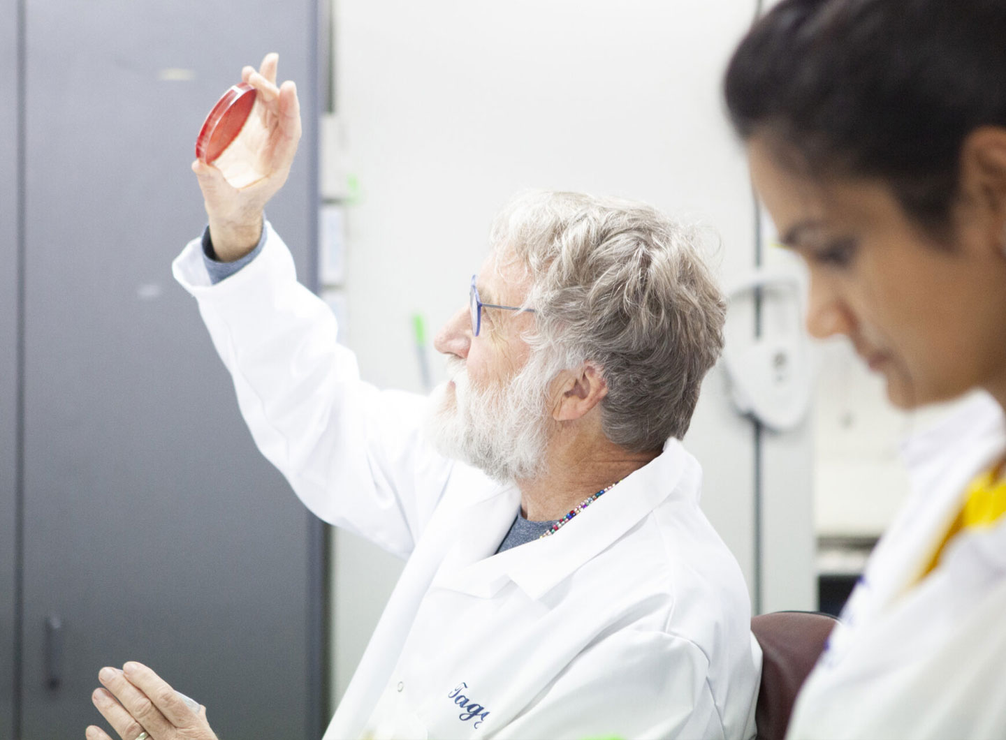 Probiotic Formulations