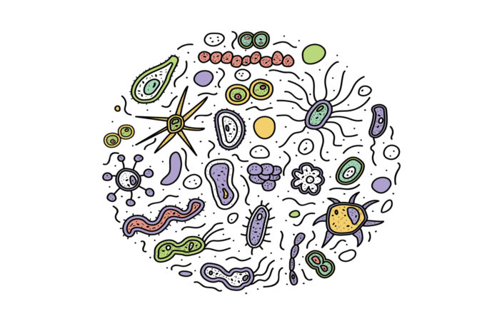 Probiotics Study on Covid-19