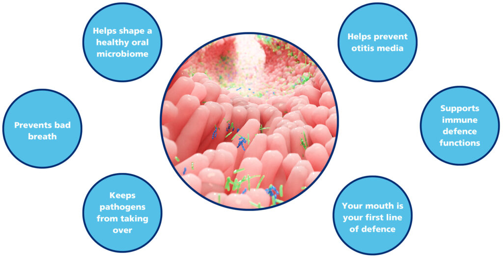Throat Health BLIS K12 functions