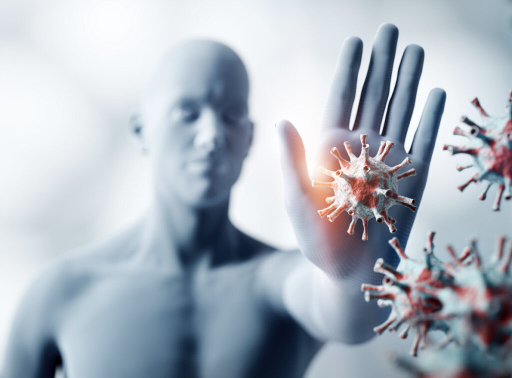 BLIS K12 stimulated Immune defences