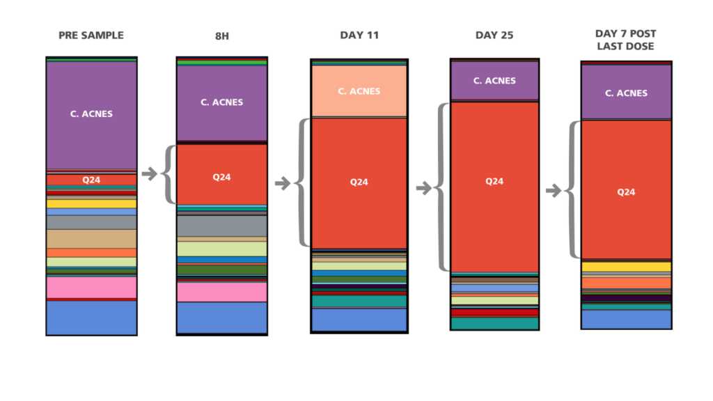 Strong colonisation ability