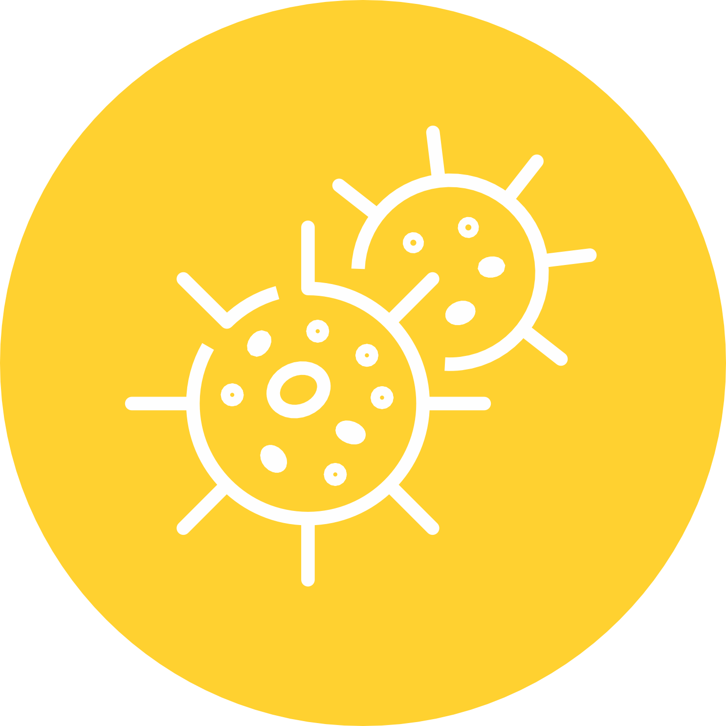 BLIS M18 produces antimicrobial peptides that inhibit bad bacteria