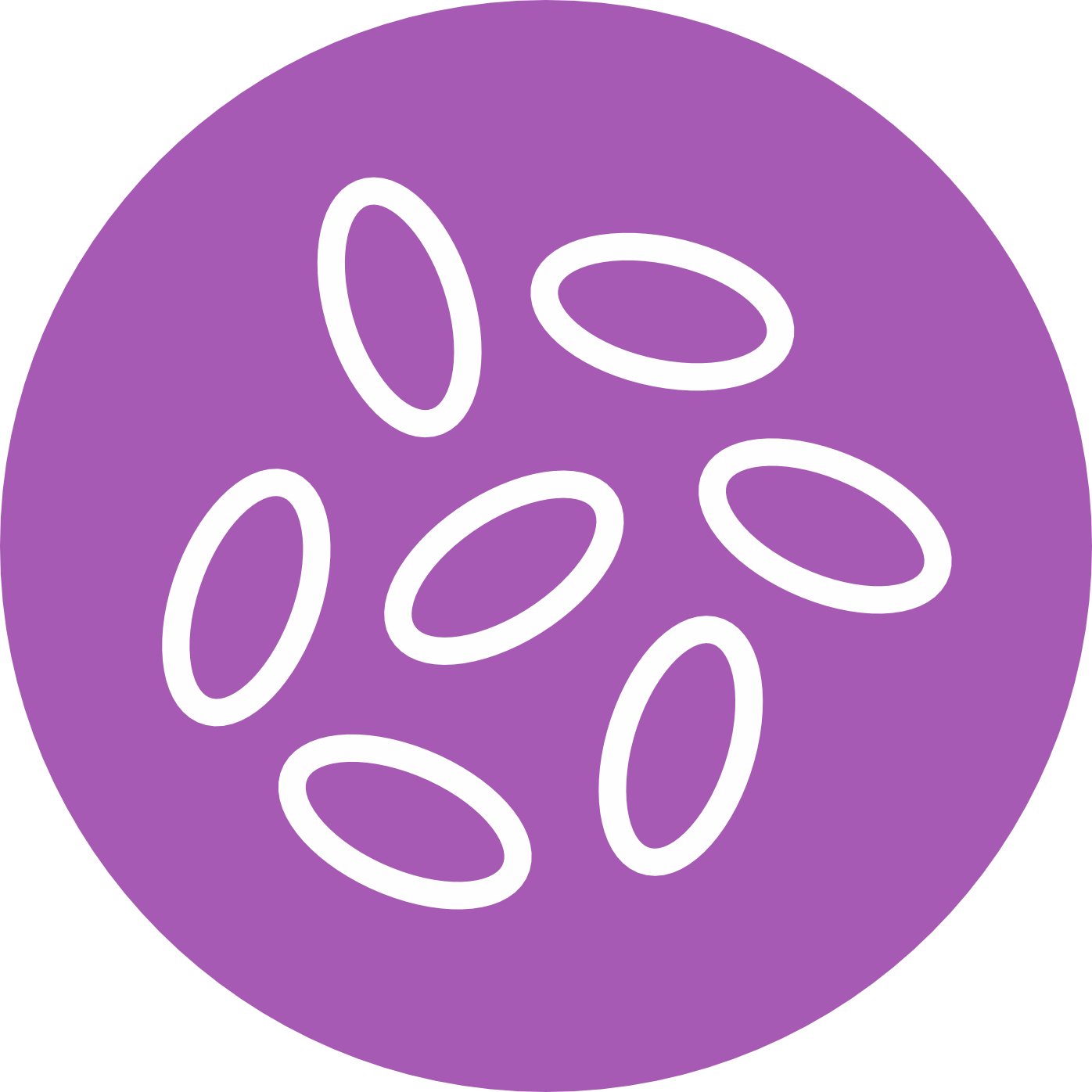 BLIS Q24 live probiotics