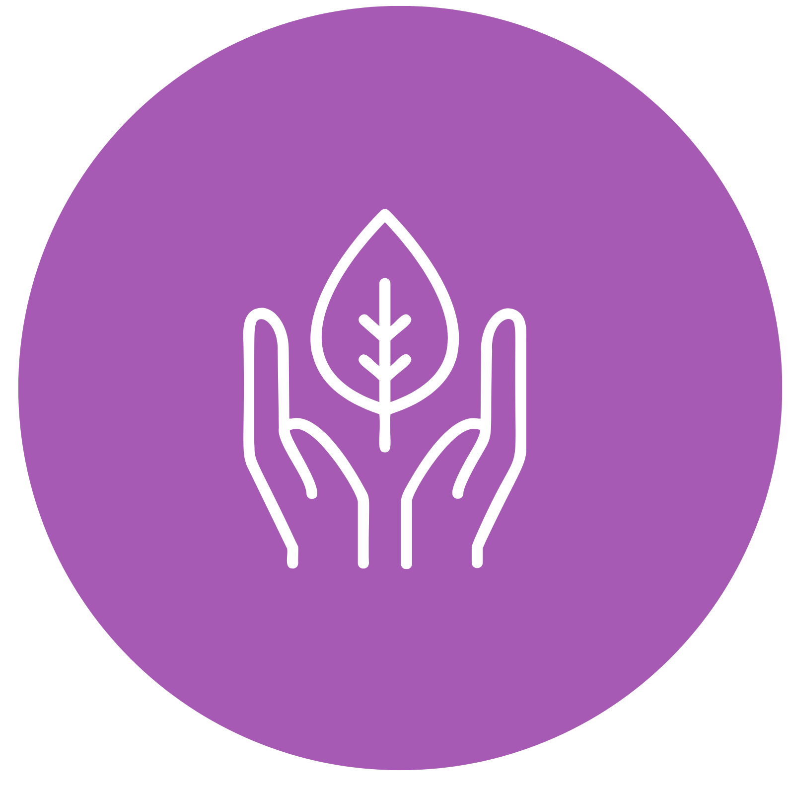 BLIS Q24 natural skincare